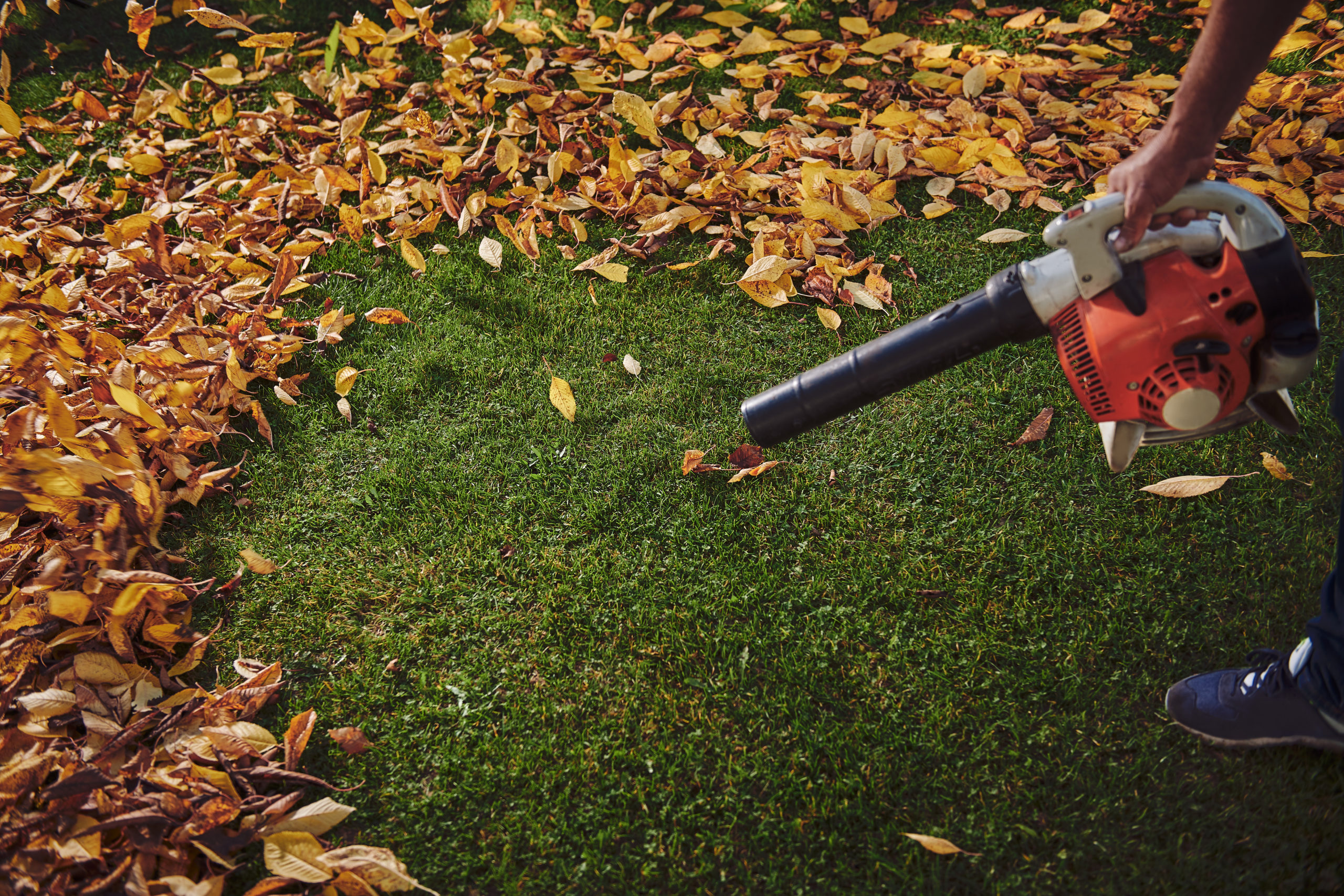 are-leaf-blowers-bad-for-the-environment-haaga-sweepers-north-america